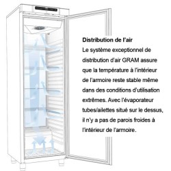 Armoire Gram RR-310-LG - 218 litres - 5 grilles