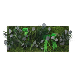 Cadre végétal petit panoramique - 80x35 cm