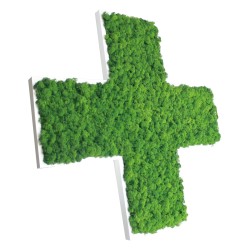 Croix végétale en lichen...