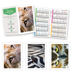 Animaux - Calendrier de...