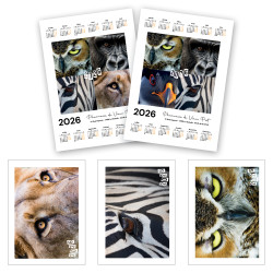 Animaux - Calendrier poster...