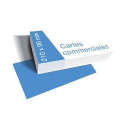 Carte commerciale 210x99 mm...