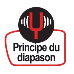 BALANCE DE PRECISION KERN EG 420g/0,001g